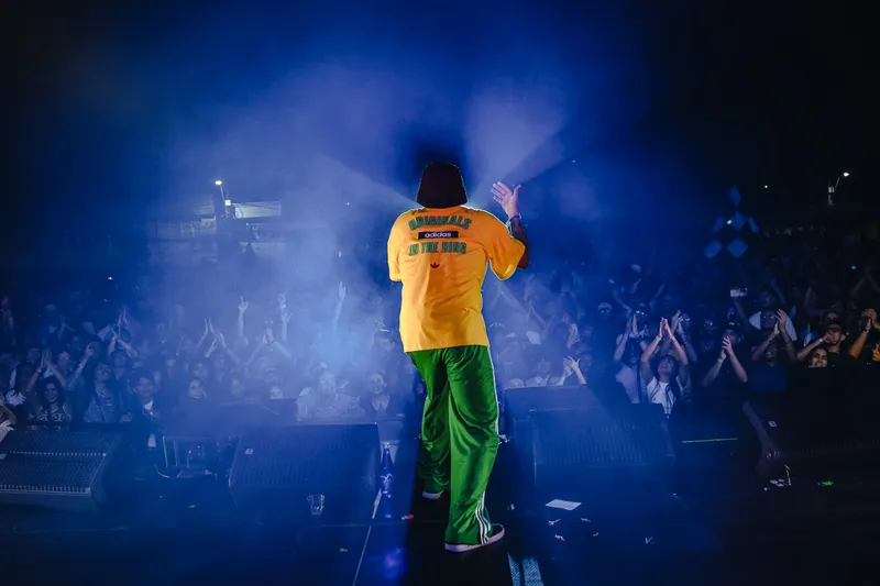 Artista musical en escena durante un concierto en Ibagué.